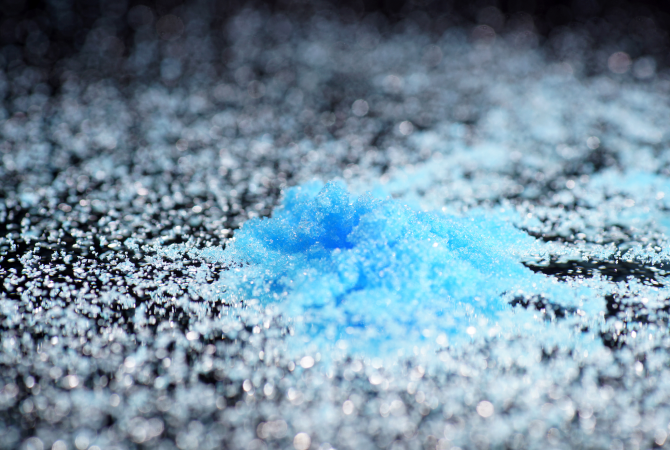 Conjugated Bile Salts: Role in Digestion & Pharmaceutical Applications